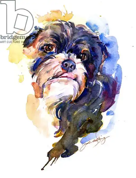 Keeling, Joh: Retrato de Livi