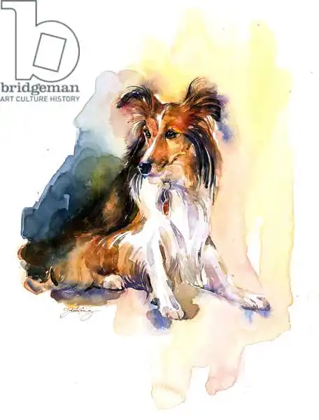 Keeling, Joh: Retrato de Sheltie