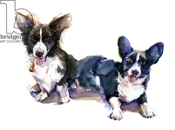 Keeling, Joh: Due Corgis