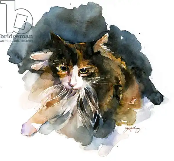 Keeling, Joh: Gato Calico