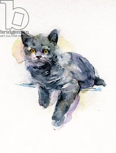 Keeling, Joh: Gatito gris