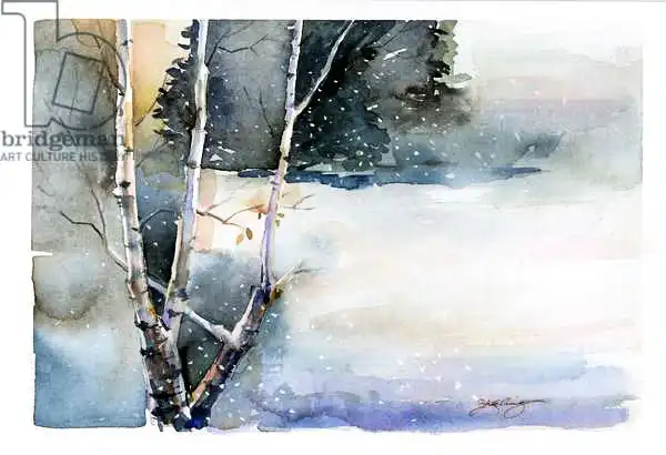 Keeling, Joh: Betulla in inverno