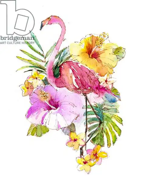 Keeling, Joh: Collage tropical