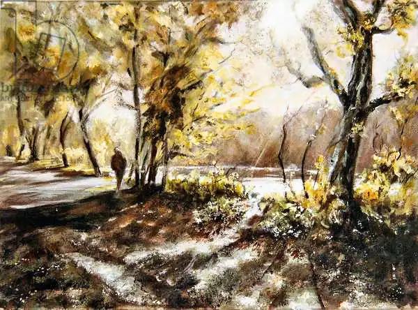 Smith, Mar: Walking beside Rudyard lake