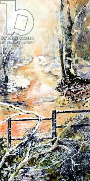 Smith, Mar: Early winters morning along Markeaton brook