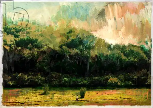 McConochie, Davi: Oakridge Woods 2015