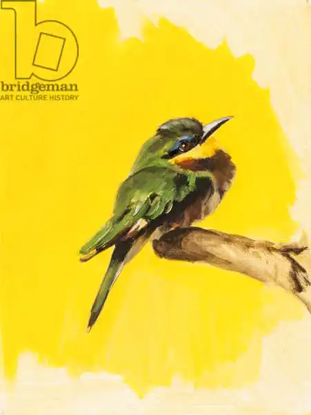 Sanders, Francesco: Bee Eater