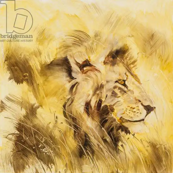 Sanders, Francesco: Lion