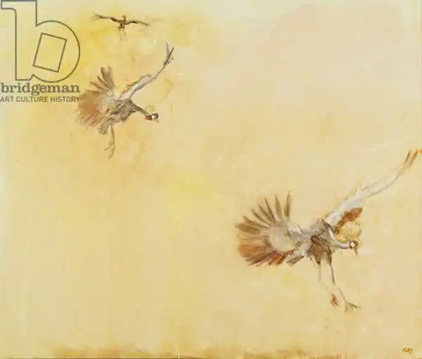 Sanders, Francesco: Crowned crane