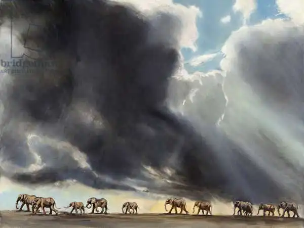 Sanders, Francesco: Elephant in storm