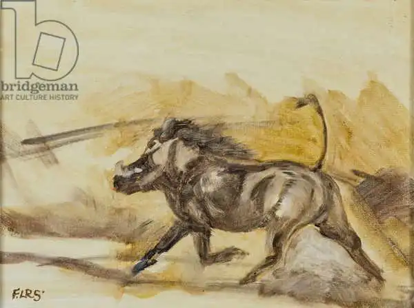 Sanders, Francesco: Warthog running