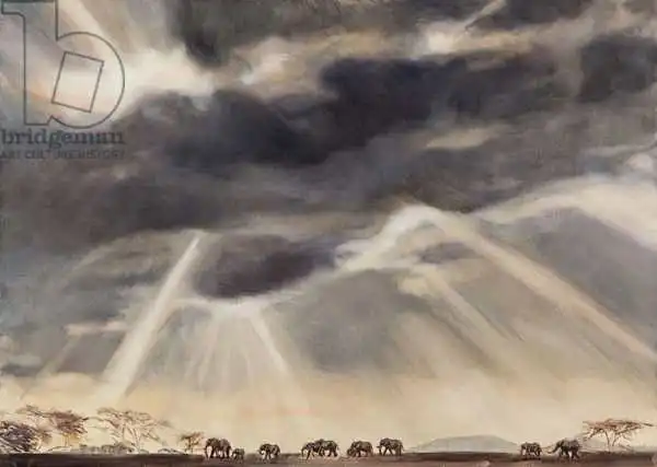 Sanders, Francesco: Elefante a Lewa