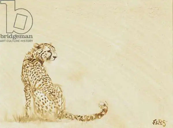 Sanders, Francesco: Cheetah in monochrome