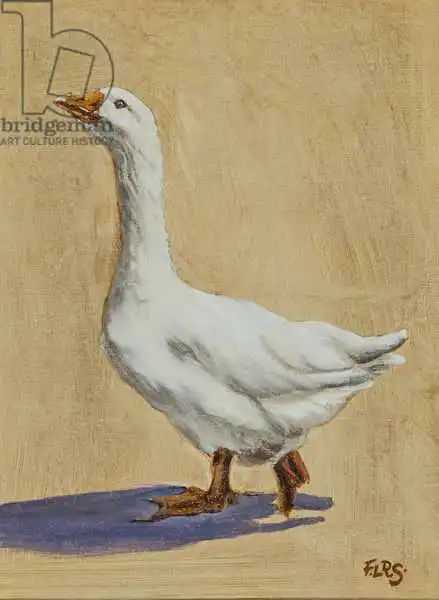 Sanders, Francesco: Farm goose