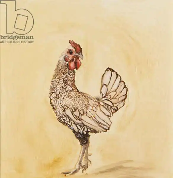 Sanders, Francesco: Lacewing chicken