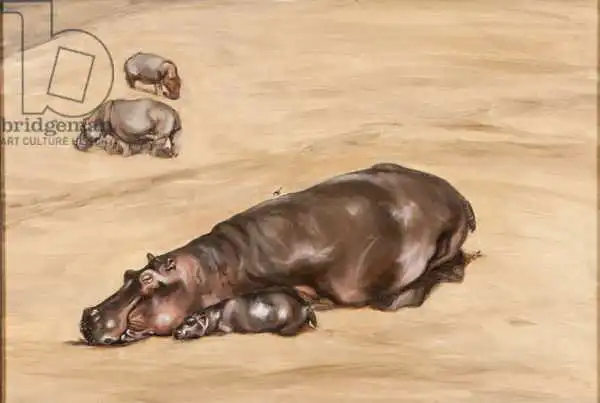 Sanders, Francesco: Hippo and calf