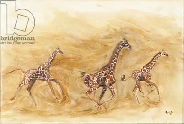 Sanders, Francesco: Giraffe running