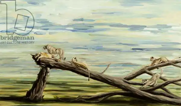 Sanders, Francesco: Lions on tree
