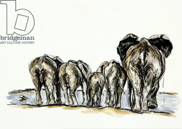 Sanders, Francesco: Fondo a forma di elefante