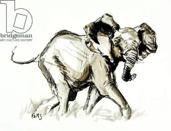 Sanders, Francesco: Elephant trot