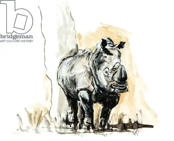 Sanders, Francesco: Rhino against tree