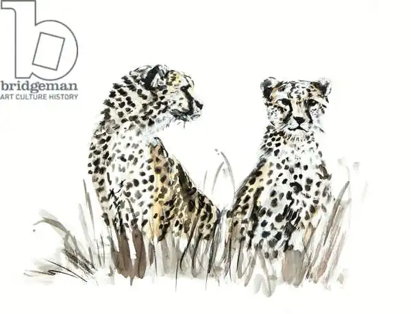Sanders, Francesco: Cheetah brothers