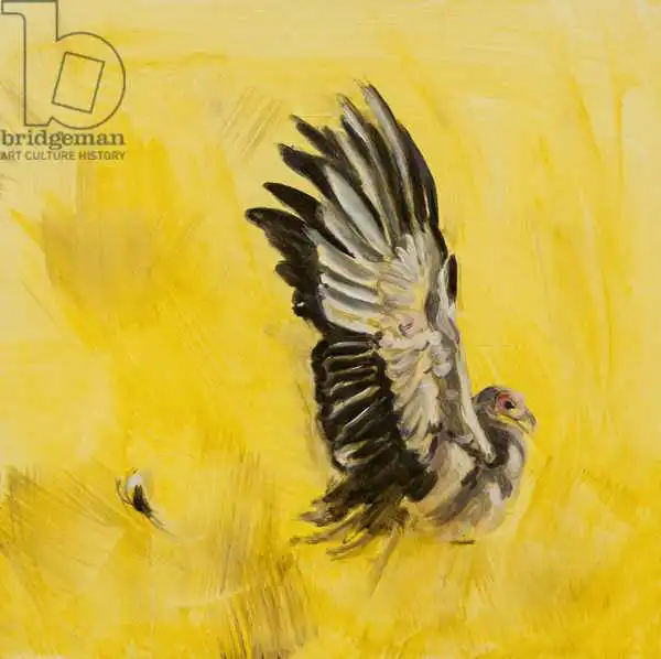 Sanders, Francesco: Secretary bird hunting