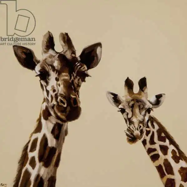 Sanders, Francesco: Coppia di giraffe