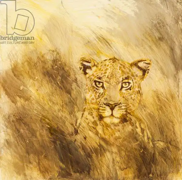 Sanders, Francesco: Leopard head