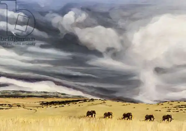 Sanders, Francesco: Elephant bulls at Lewa