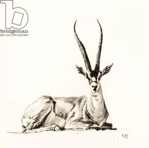 Sanders, Francesco: Grant Gazelle
