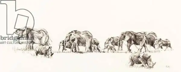 Sanders, Francesco: Elefante e rinoceronte