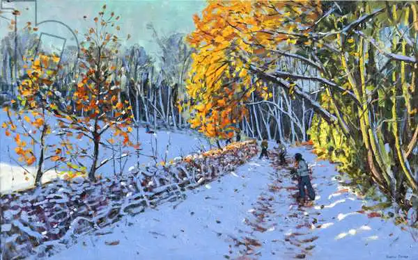 Macara, Andre: Snowballing,Allestree Park,Derby,2014