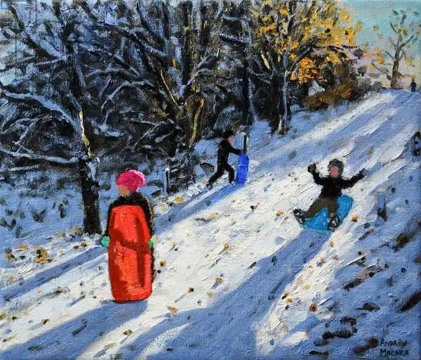Macara, Andre: Red Sledge, Allestree Park Derby. 2014