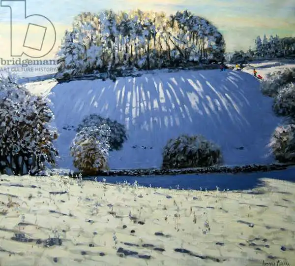 Macara, Andre: Feld der Schatten, in der Nähe von yolgrave, Derbyshire