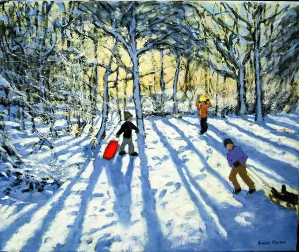 Macara, Andre: Woodland in winter, near Ashbourne, Derbyshire