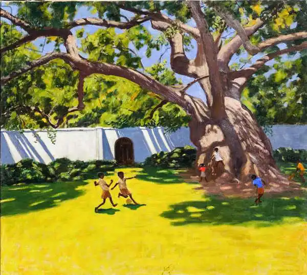 Macara, Andre: ANCIENT CAMPOR TREE,VERGELEGEN ESTATE,SOUTH AFRICA