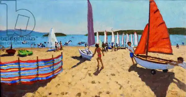 Macara, Andre: Pushing out the boat,Abersoch
