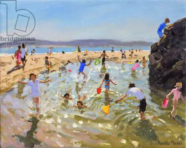 Macara, Andre: Rock pool.Tenby,2016