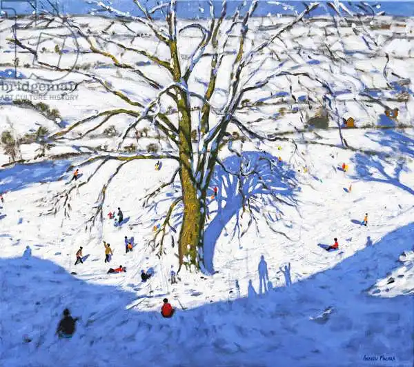 Macara, Andre: Hillside,Elton,near Rowsley,Chatsworth,Derbyshire. (Reworked) 2017