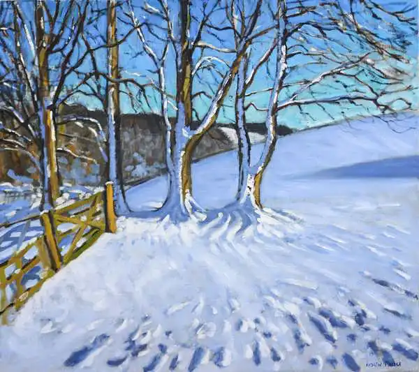 Macara, Andre: Gate and trees,Winter,Dam Lane,Derbyshire