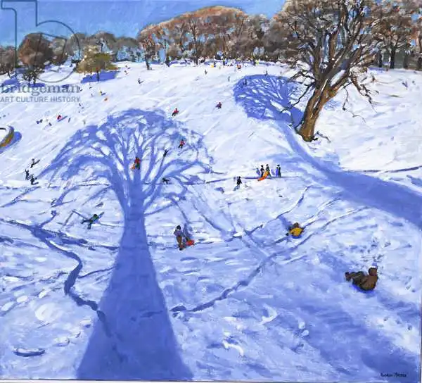 Macara, Andre: Chatsworth, Winterbaumschatten