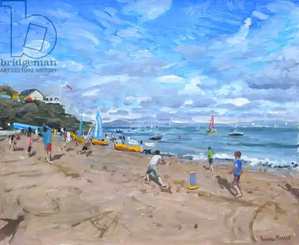 Macara, Andre: Beach cricket ,Abersoch