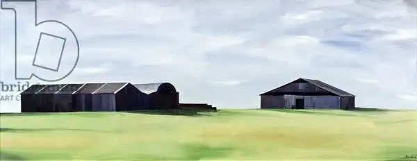 Bianchi, Ana: Summer Barns