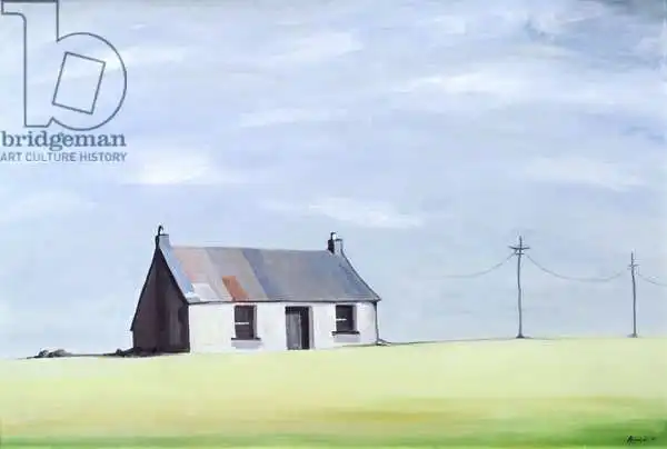 Bianchi, Ana: This Old House