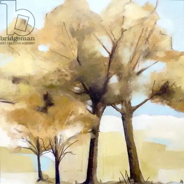 Bianchi, Ana: Trees