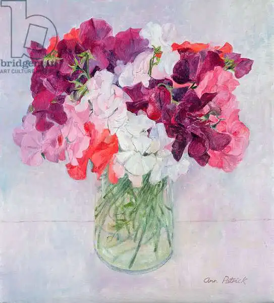 Patrick, Ann: Sweet Peas