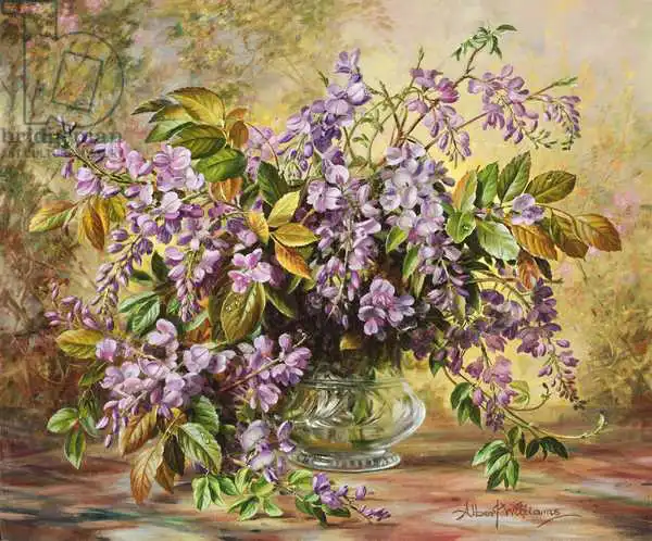 Williams, Albert: Wisteria enchanteur de Junetide