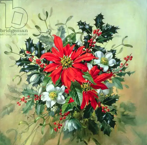 Williams, Albert: AB/130 A Christmas arrangement with holly, mistletoe and other winter flowers