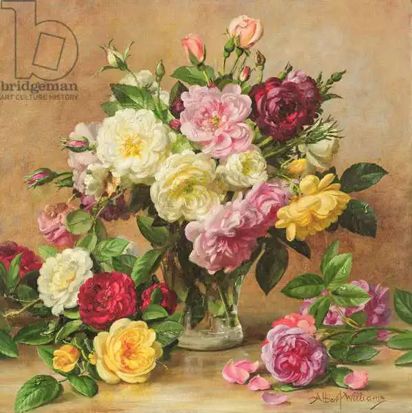 Williams, Albert: AB/305/2 Old Fashioned Victorian Roses